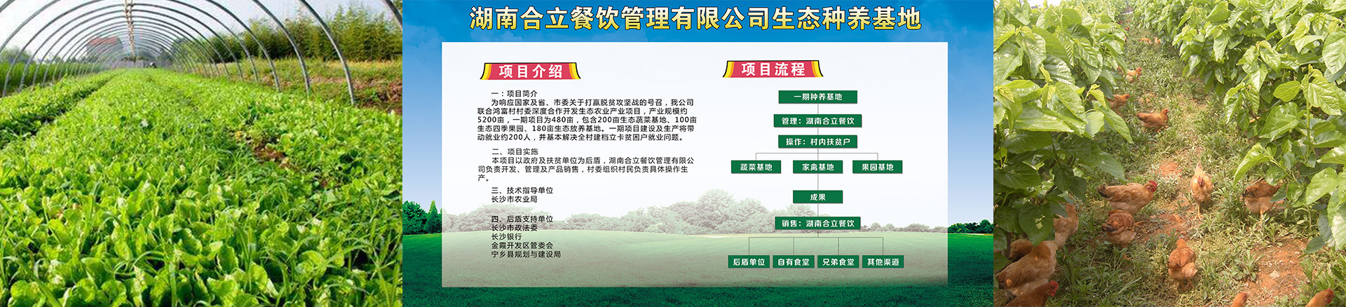 食堂承包|食堂托管|湖南食堂承包|長(cháng)沙食堂承包|蔬菜配送|廚具安裝|湖南合立餐飲管理有限公司